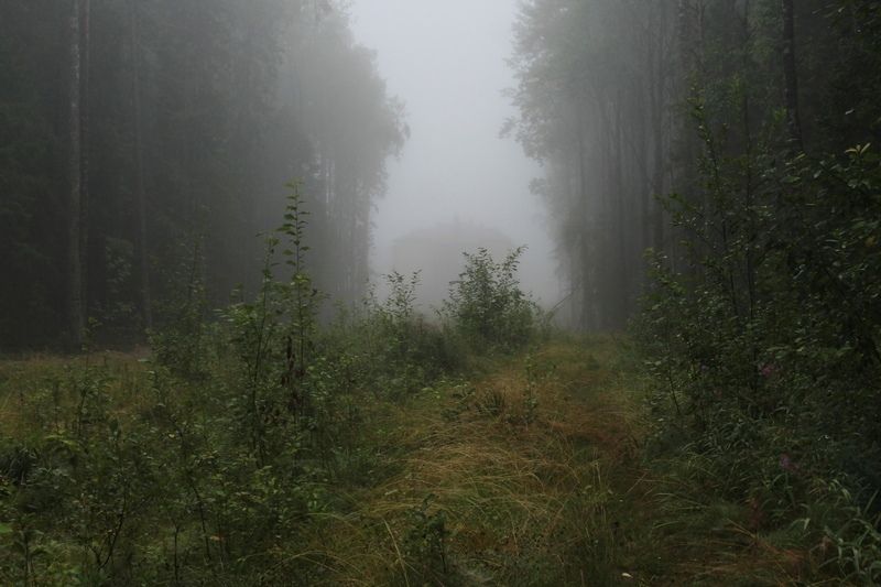 Шесть раз судимый житель Карелии изнасиловал 55-летнюю женщину в Златоусте