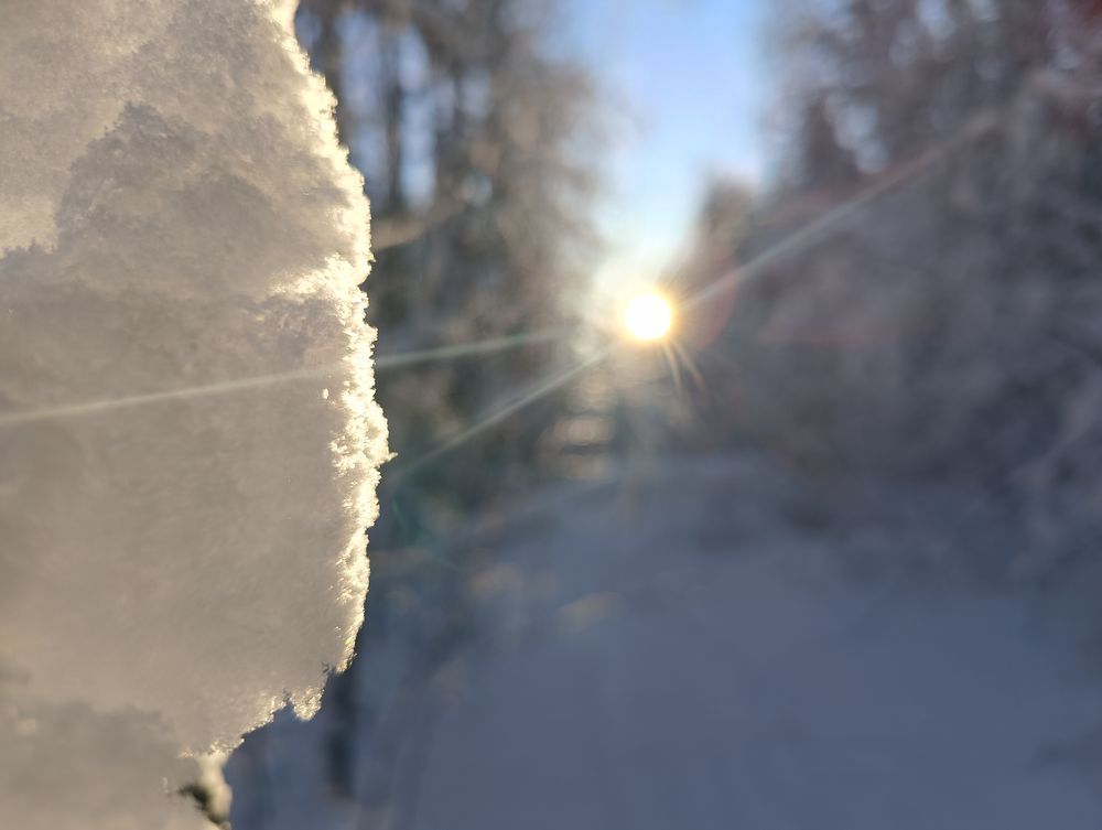 Синоптики дали прогноз погоды в Карелии на ближайшую неделю и на День защитника Отчества