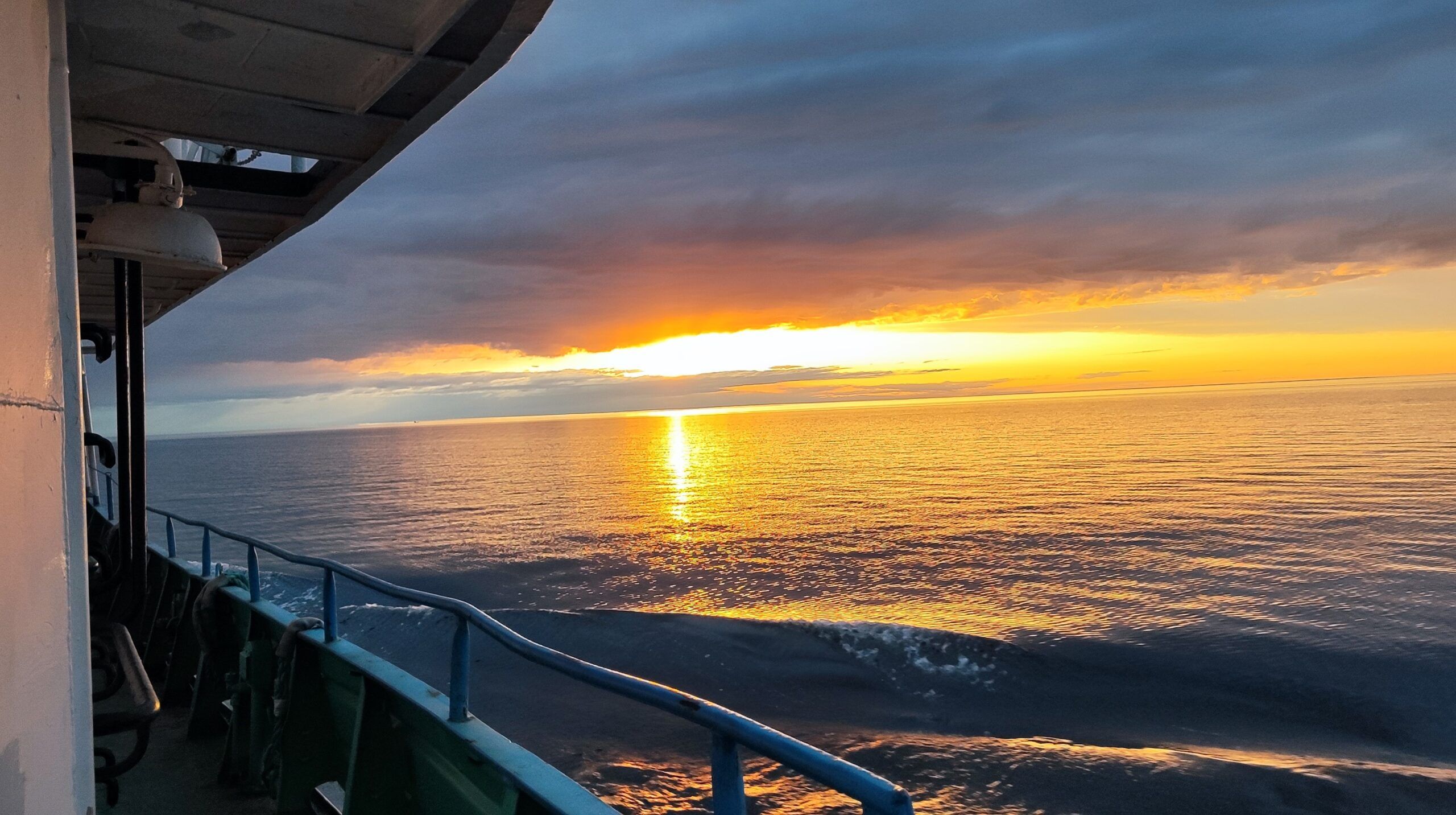 О необычных обитателях Онежского озера расскажут на лекции в петрозаводской библиотеке