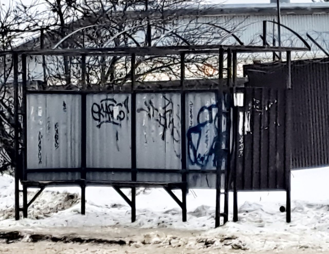 «Помогите прекратить издевательство!»: главе Карелии пожаловались на власти Петрозаводска