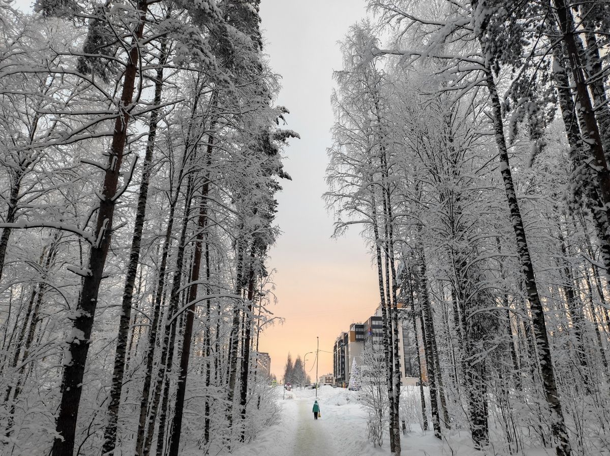 Местами в Карелии температура опустится до -25°С. Прогноз погоды на 6 февраля