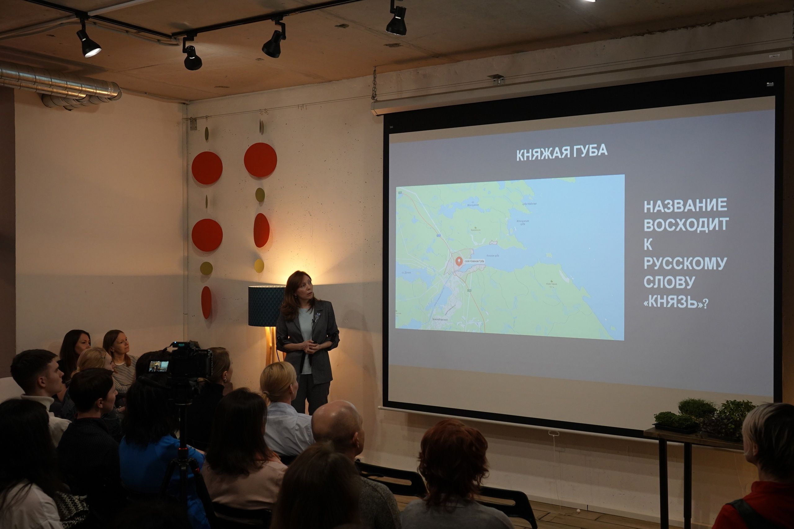 «Из грязи в князи» - карельские ученые раскрыли секрет названия села «Княжая губа»