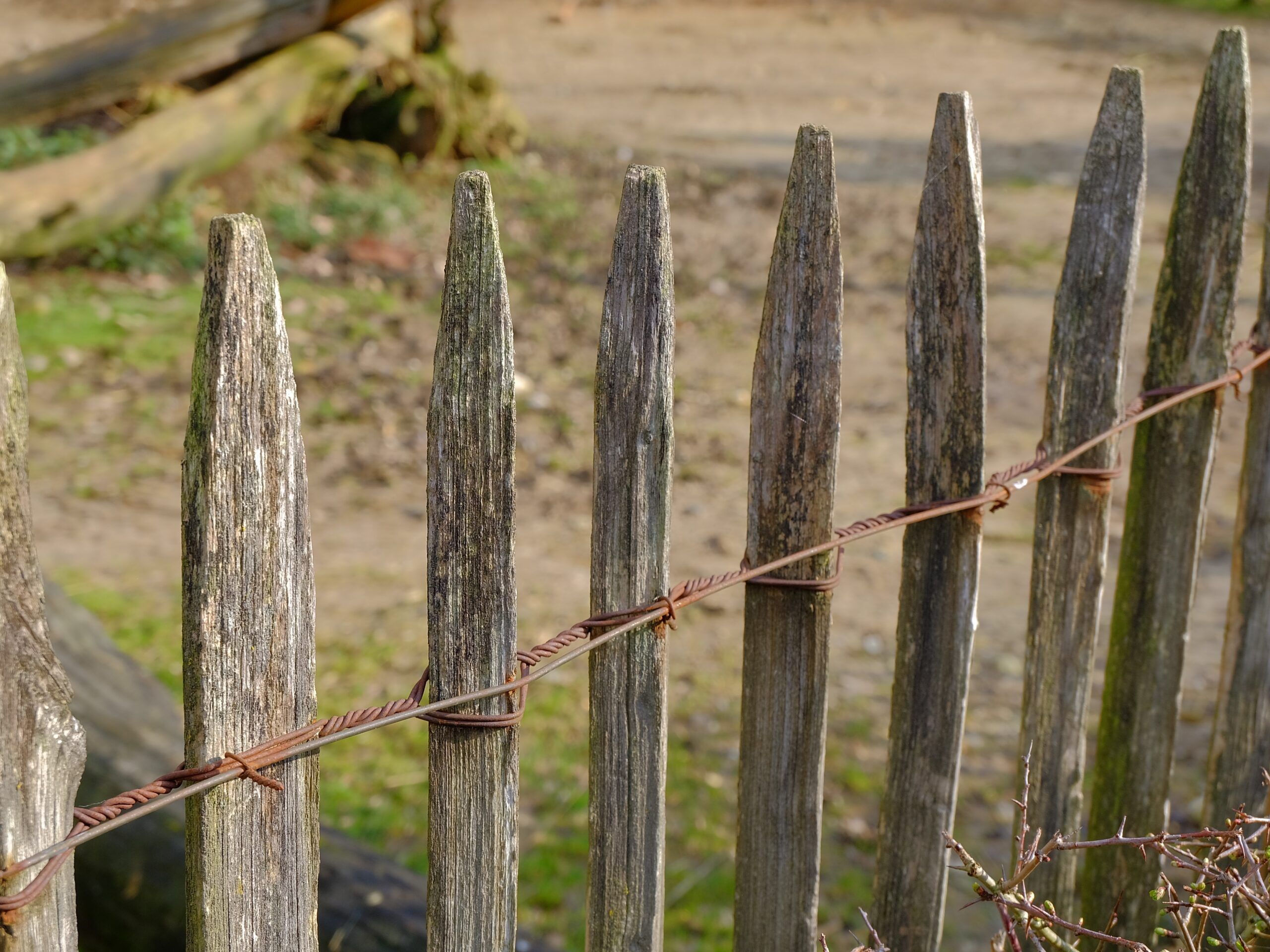 Житель Карелии в воспитательных целях бросил металлическую палку в подростка