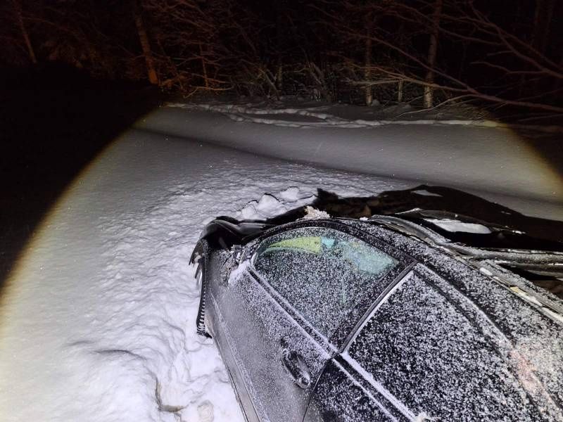 На трассе «Кола» в Карелии автомобиль насмерть сбил лося и съехал в кювет