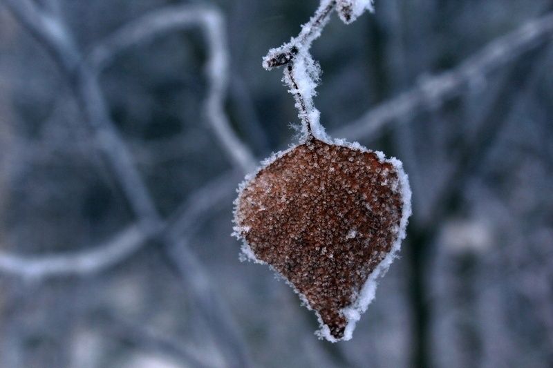 Ночные морозы не отступают: прогноз погоды на 10 февраля