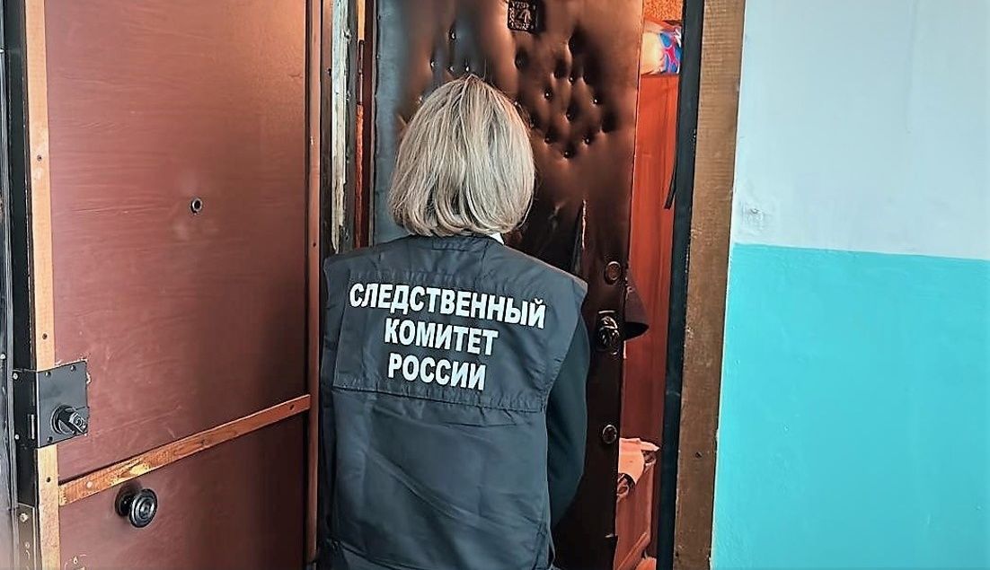 Жительница Сегежского района пришла в гости к знакомой и ударила ее ножом в спину