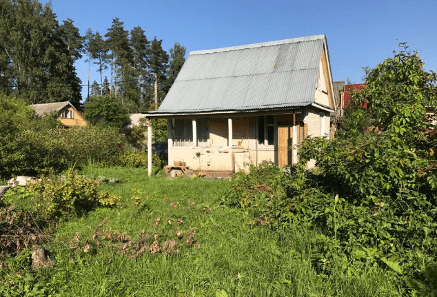 Для защиты огородов от насекомых лучше всего помогают сетки определенного цвета - исследование