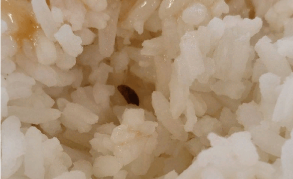 Чиновники не нашли нарушений в школьном питании, вопреки жалобам учеников в Петрозаводске