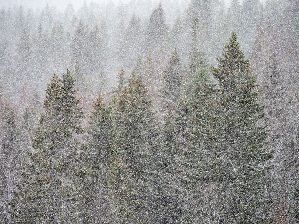 Ледяной дождь и сильный снег. Прогноз погоды на 17 февраля