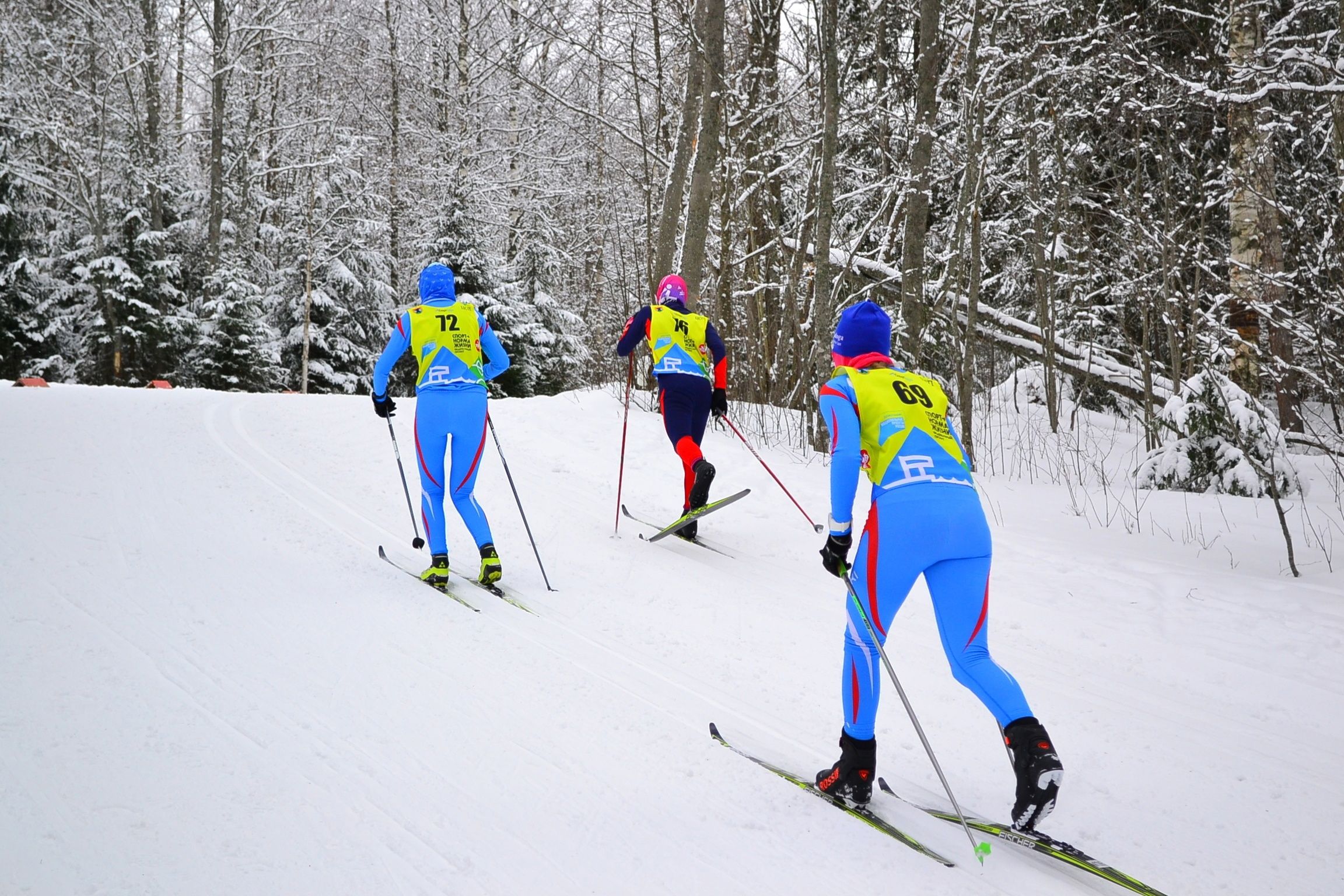 Трасса «Фонтаны» и спорткомплекс «Луми» примут в выходные Зимнюю спартакиаду Союза городов Центра и Северо-Запада России