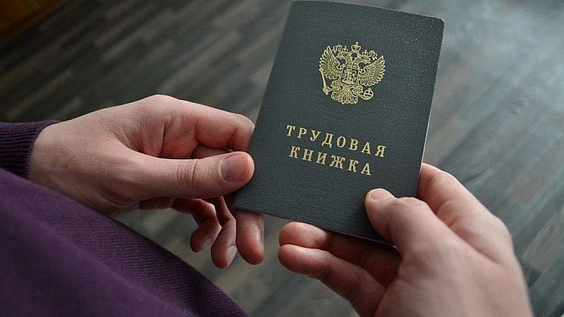 Хорошая погода и друзья оказались в списке причин, мешающих жителям Петрозаводска найти работу