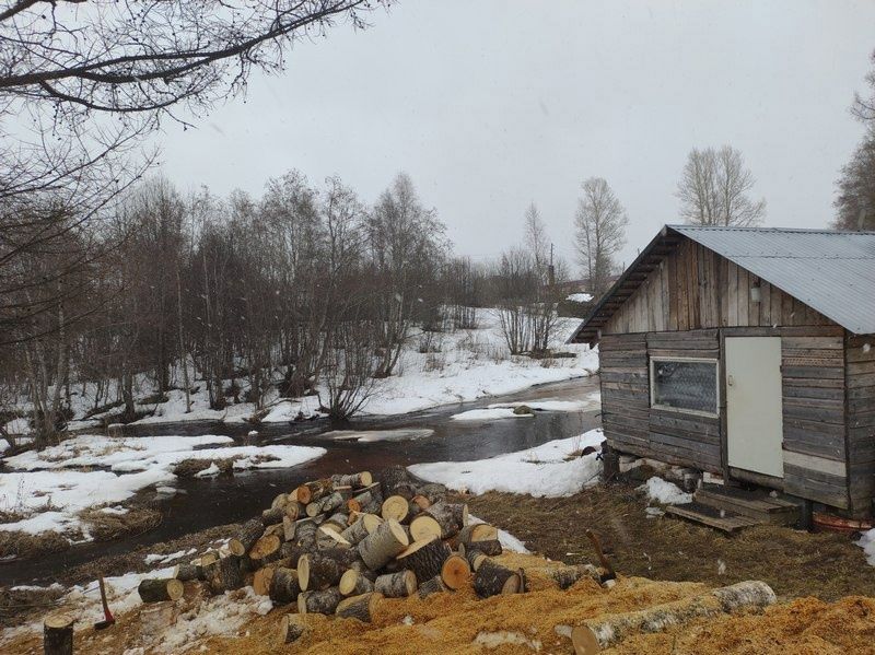Сильный ветер и дождь: прогноз погоды на 15 марта