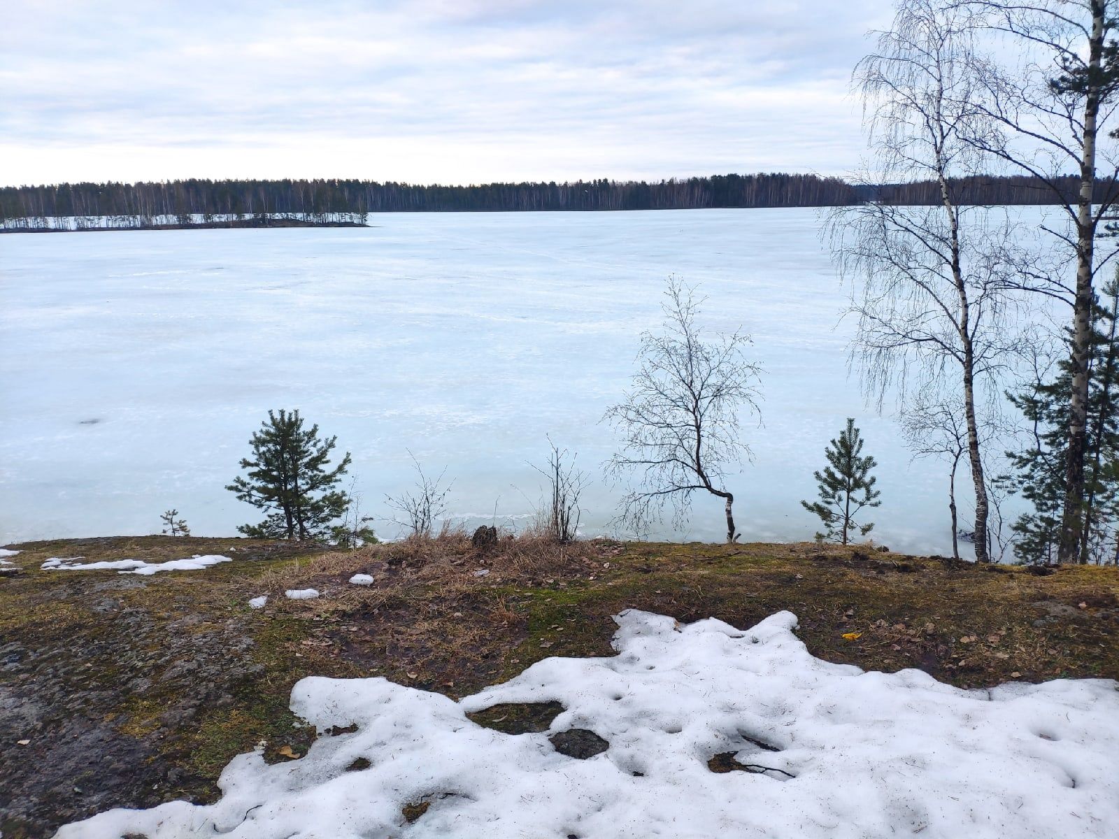 Днем плюсовая температура: прогноз погоды на 3 марта
