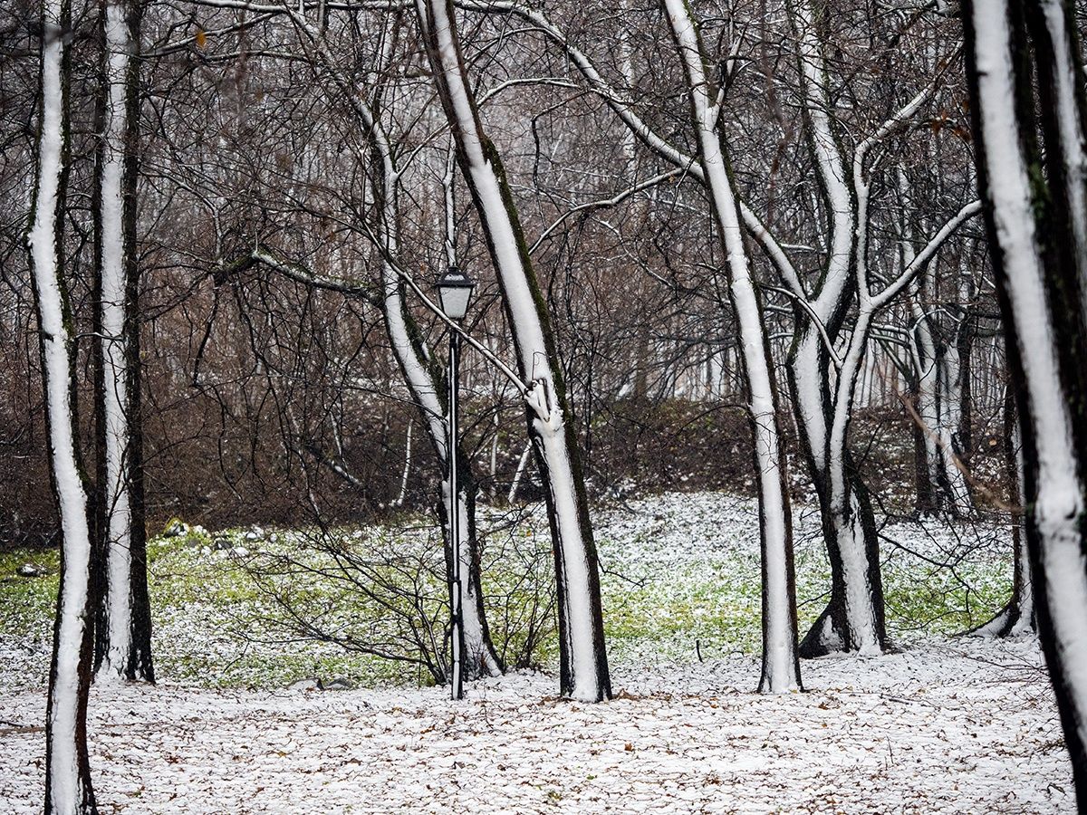 Местами в Карелии мокрый снег. Прогноз погоды на 13 марта