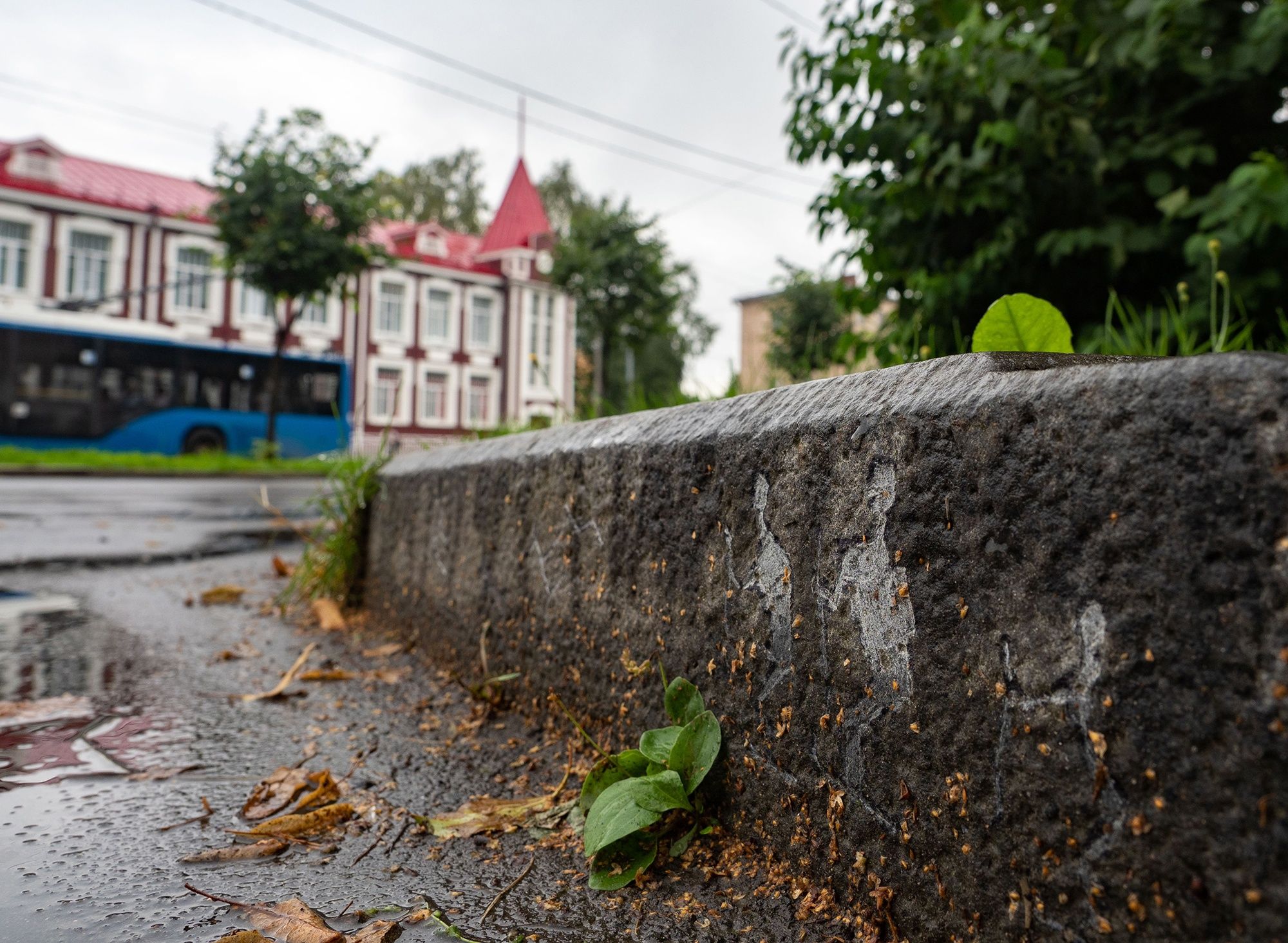 Петрозаводск попал в число самых культурных городов России Петрозаводск попал в число самых культурных городов России