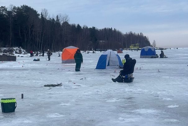 Рыбаки рассказали, сколько удалось поймать сбежавшей форели на Ладоге