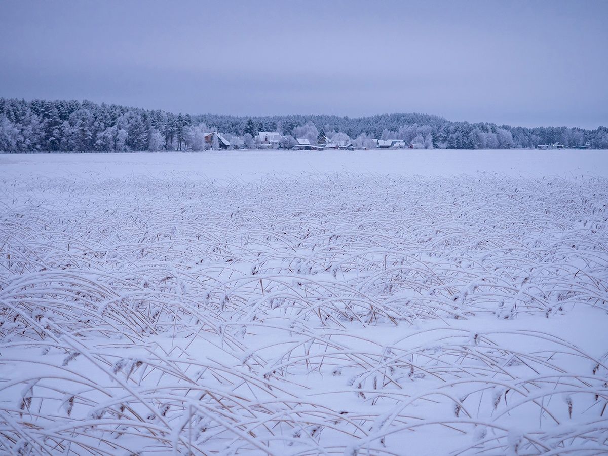 В воскресенье в Карелии похолодает. Прогноз погоды на 17 марта