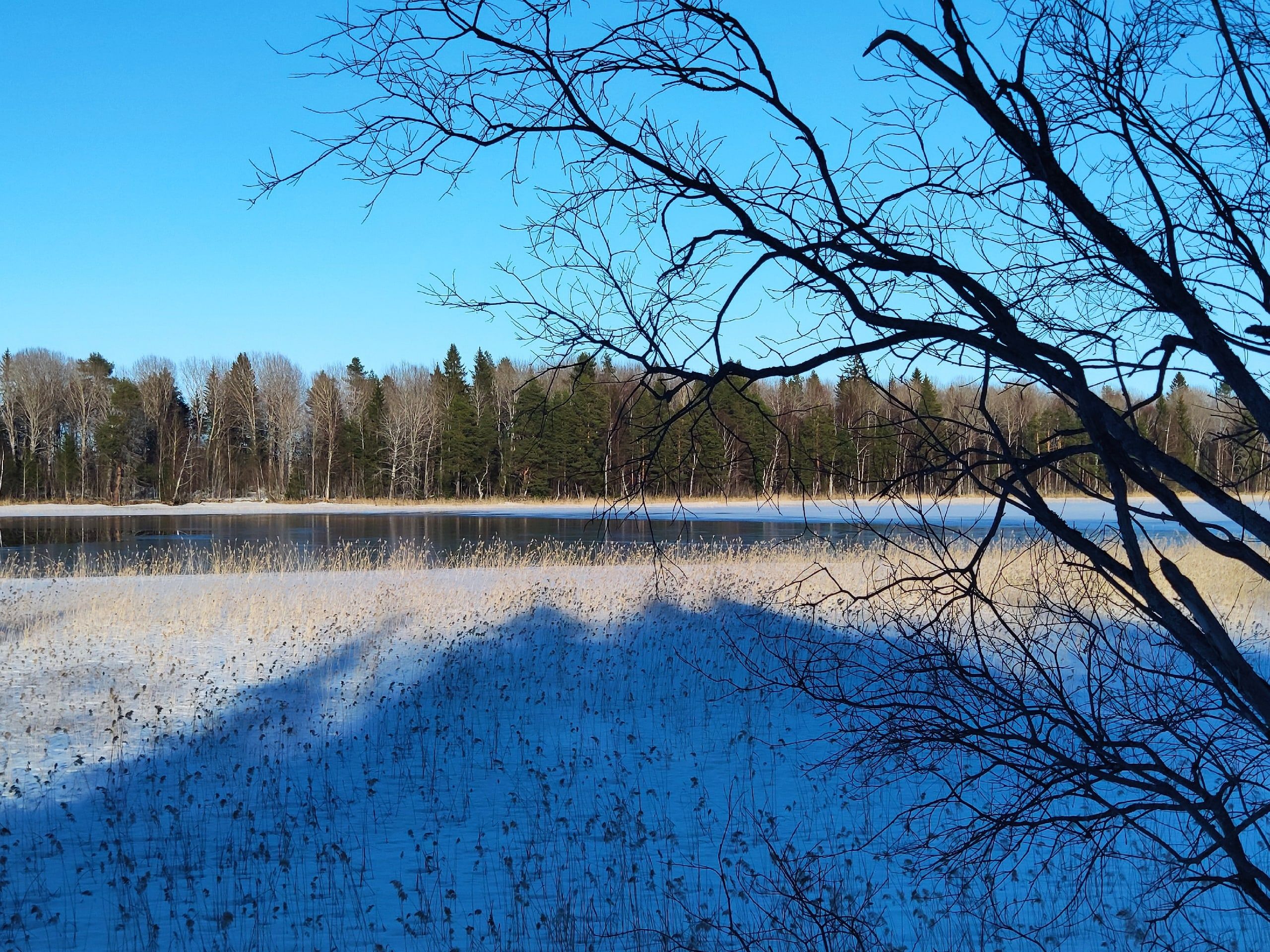 Ночью до -15°С: прогноз погоды на 19 марта