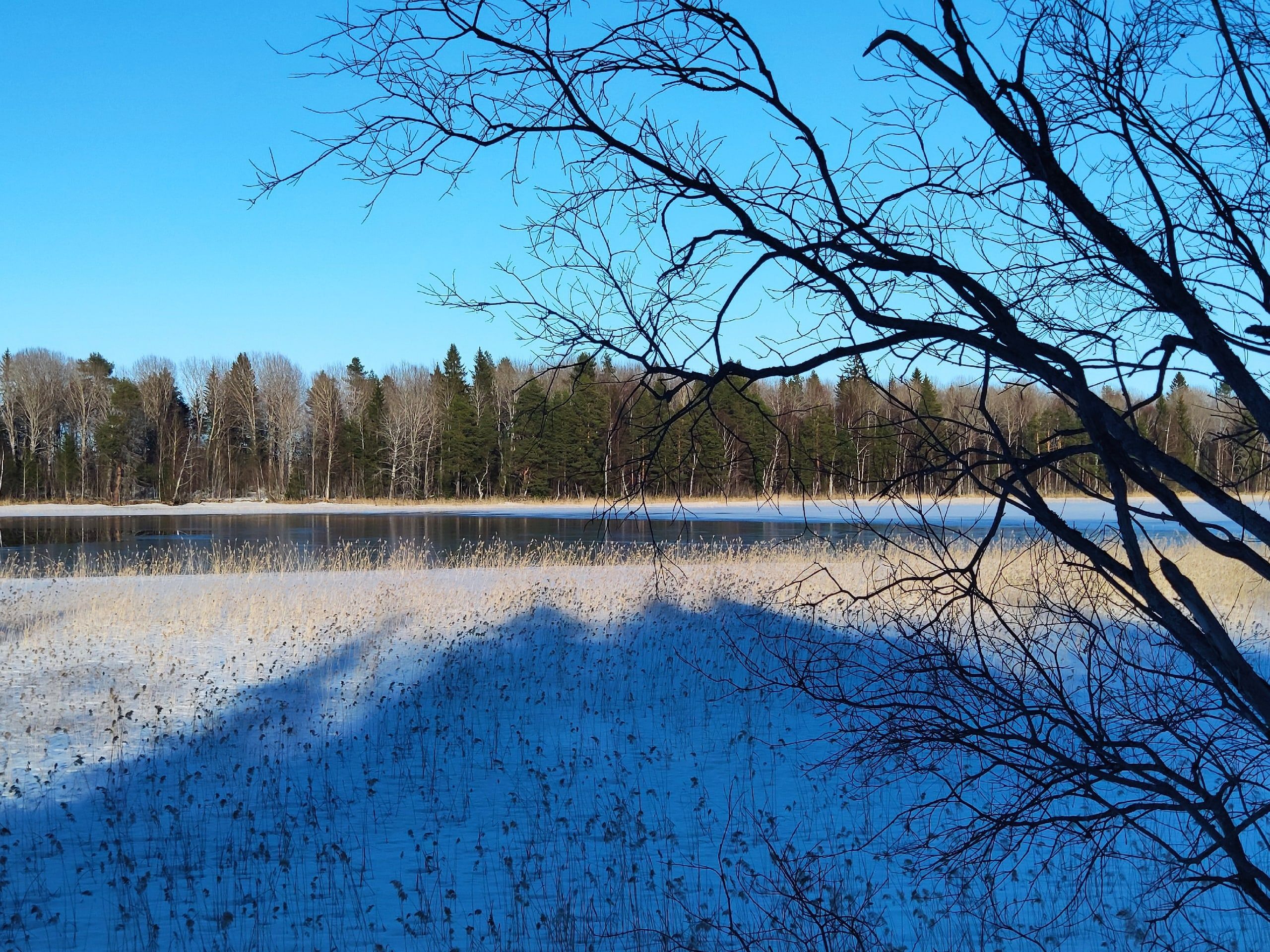 «Март забыл, что, он весенний месяц»: когда ждать потепления в Карелии