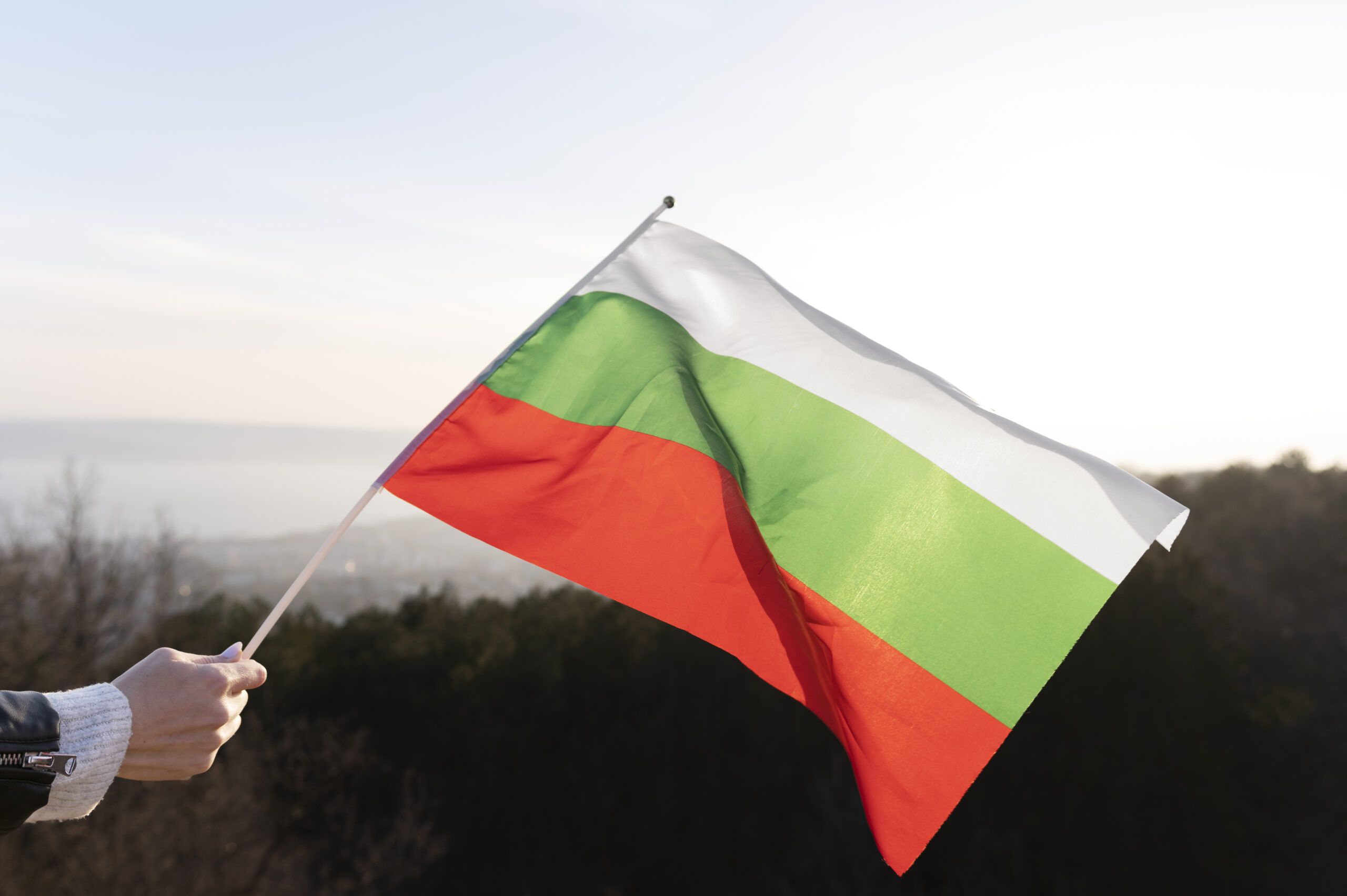 Болгария начнет выдавать шенгенские визы