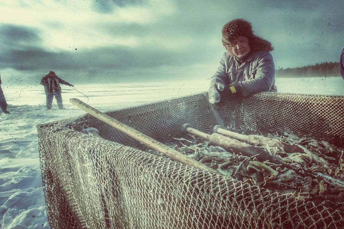 «Великолепные условия для морского отдыха»: глава Карелии объяснил, чем привлекать туристов