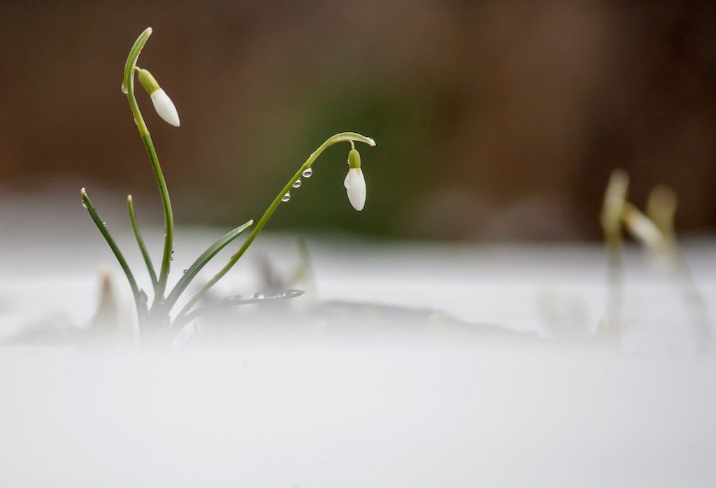 В Петрозаводске существенно потеплеет