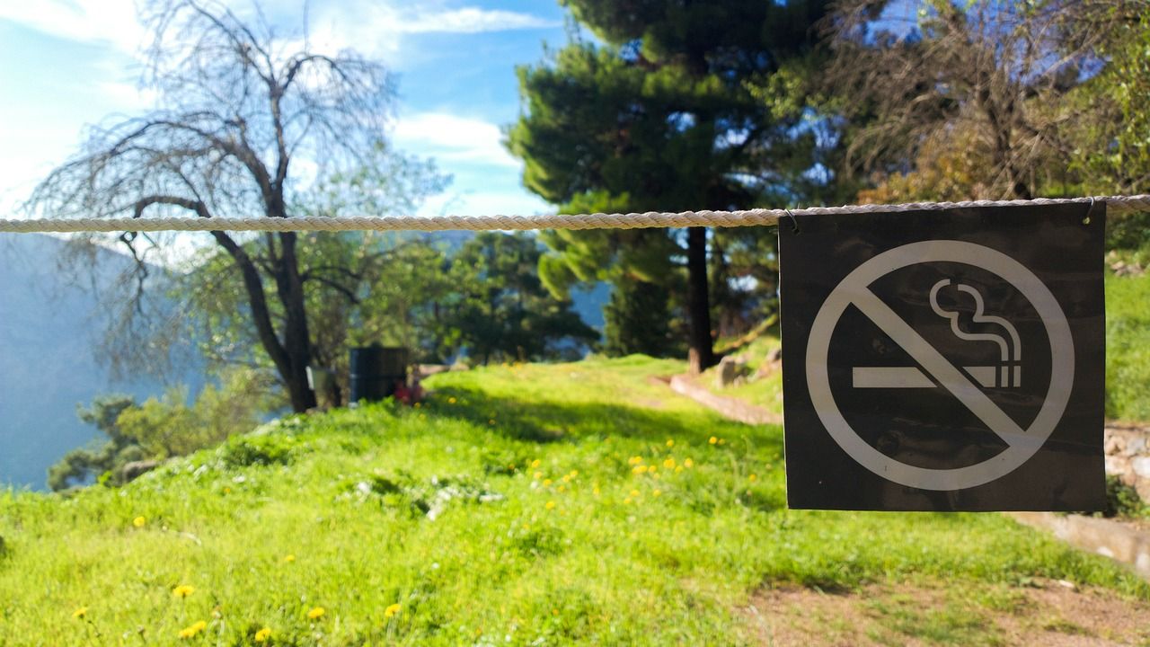 Мэр Петрозаводска предложила запретить курение на улицах – почти везде