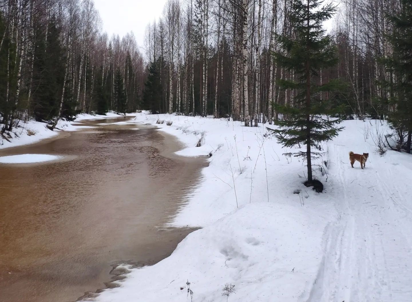 Ночью местами до -16°С: прогноз погоды на 25 марта