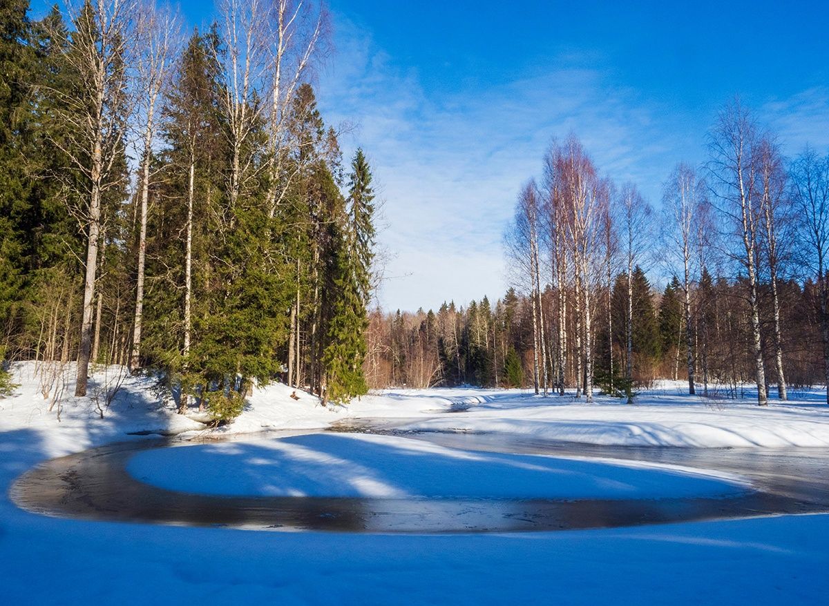 Ночью до -3°С, днем до +6°С. Прогноз погоды на 29 марта