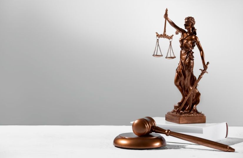 Петрозаводчане смогут получить бесплатную юрпомощь