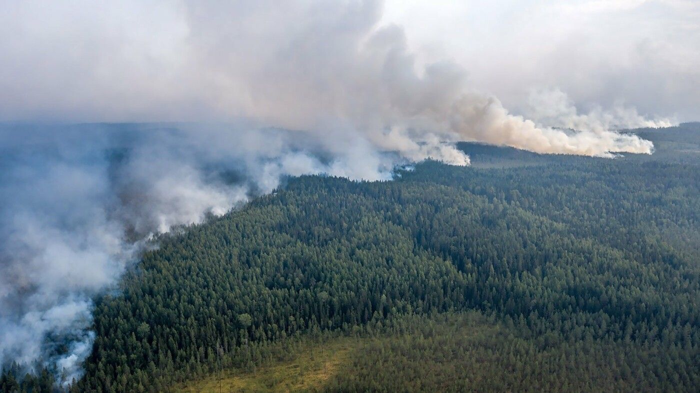Новые самолеты для разведки лесных пожаров закупили в Карелии