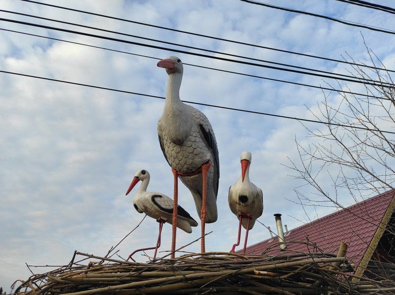 Синоптики рассказали, когда закончатся снегопады и в Карелию придет весна
