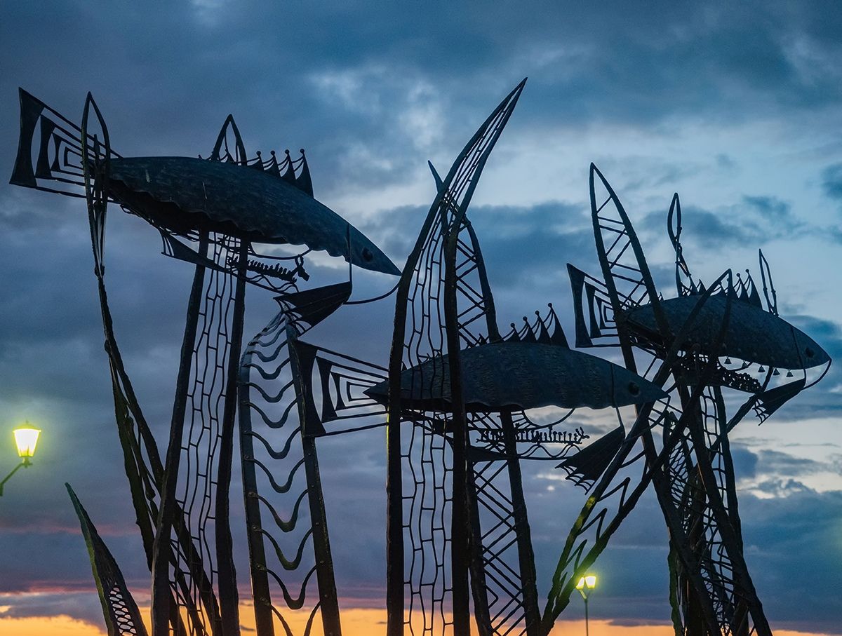 В России сложилась критическая ситуация с запасами рыбы в северных реках