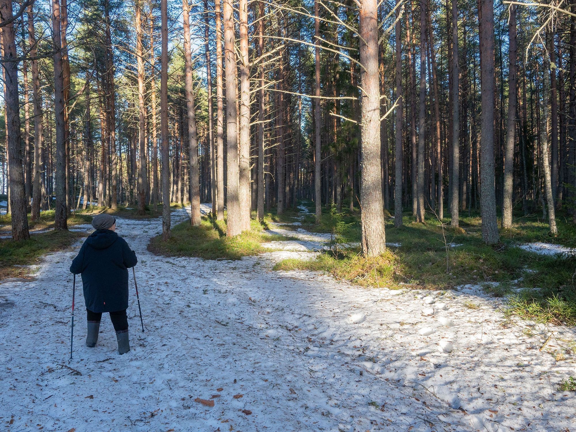 Власти выдали предостережение владельцу участка, против застройки которого протестует население в Карелии