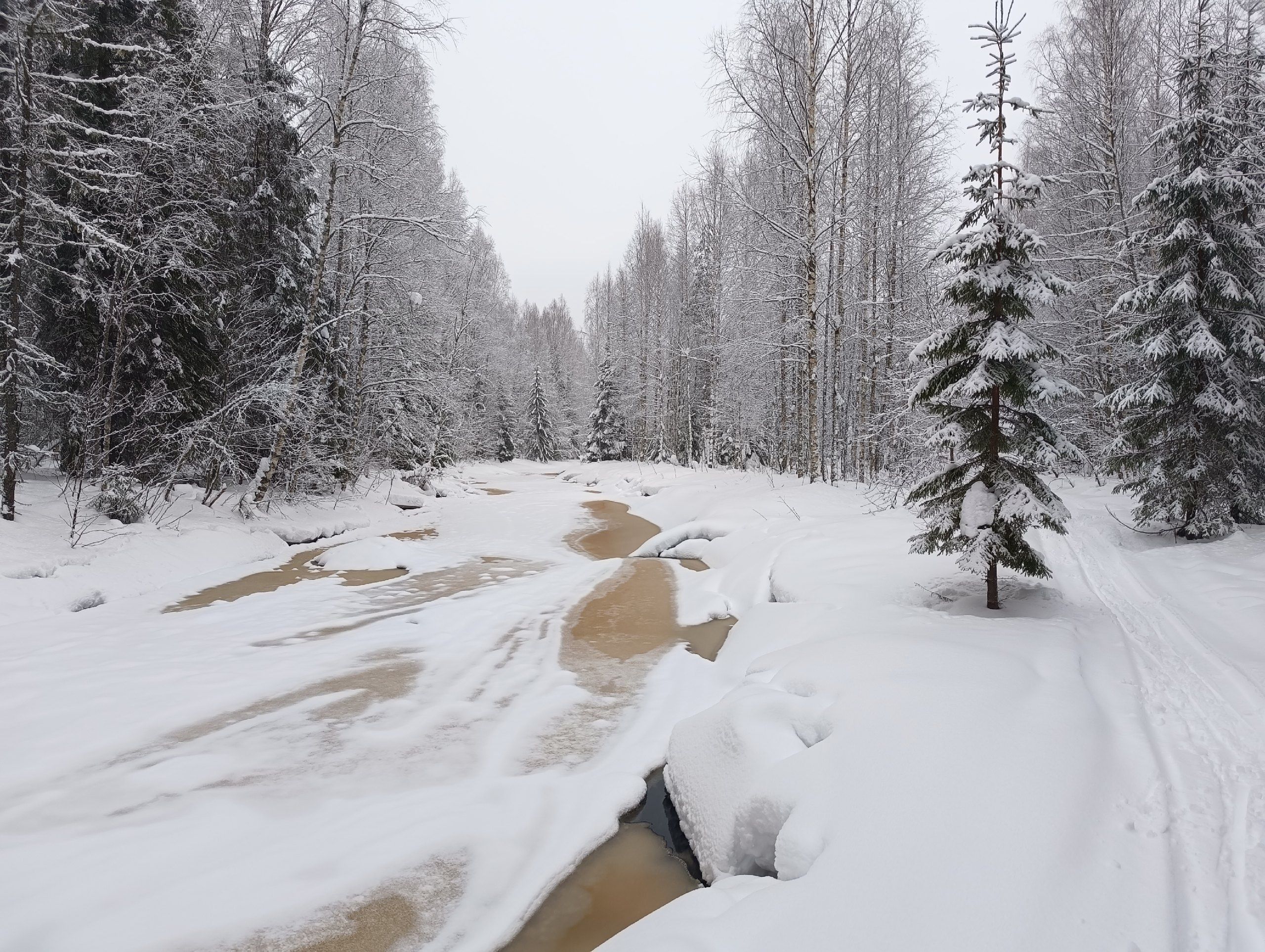 Ночью минус, днем плюс. Прогноз погоды на 8 апреля