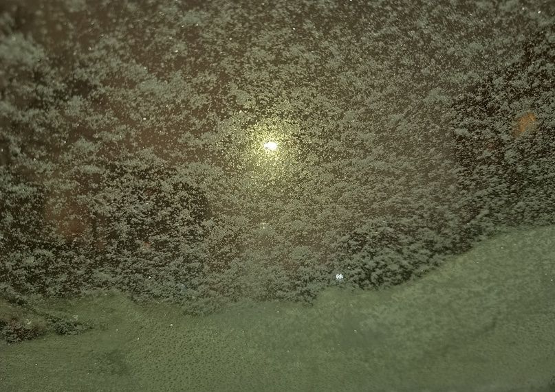 Метель накроет Карелию: прогноз погоды на пятницу