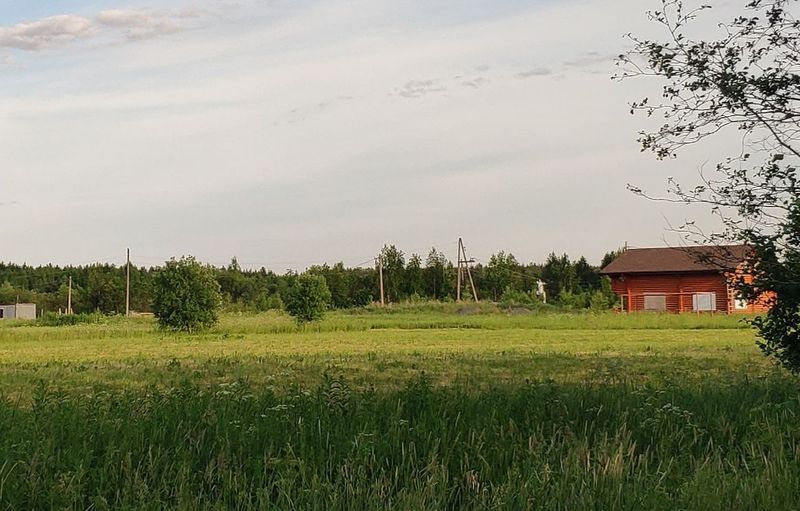 Определена средняя кадастровая стоимость земельных участков для каждого района Карелии