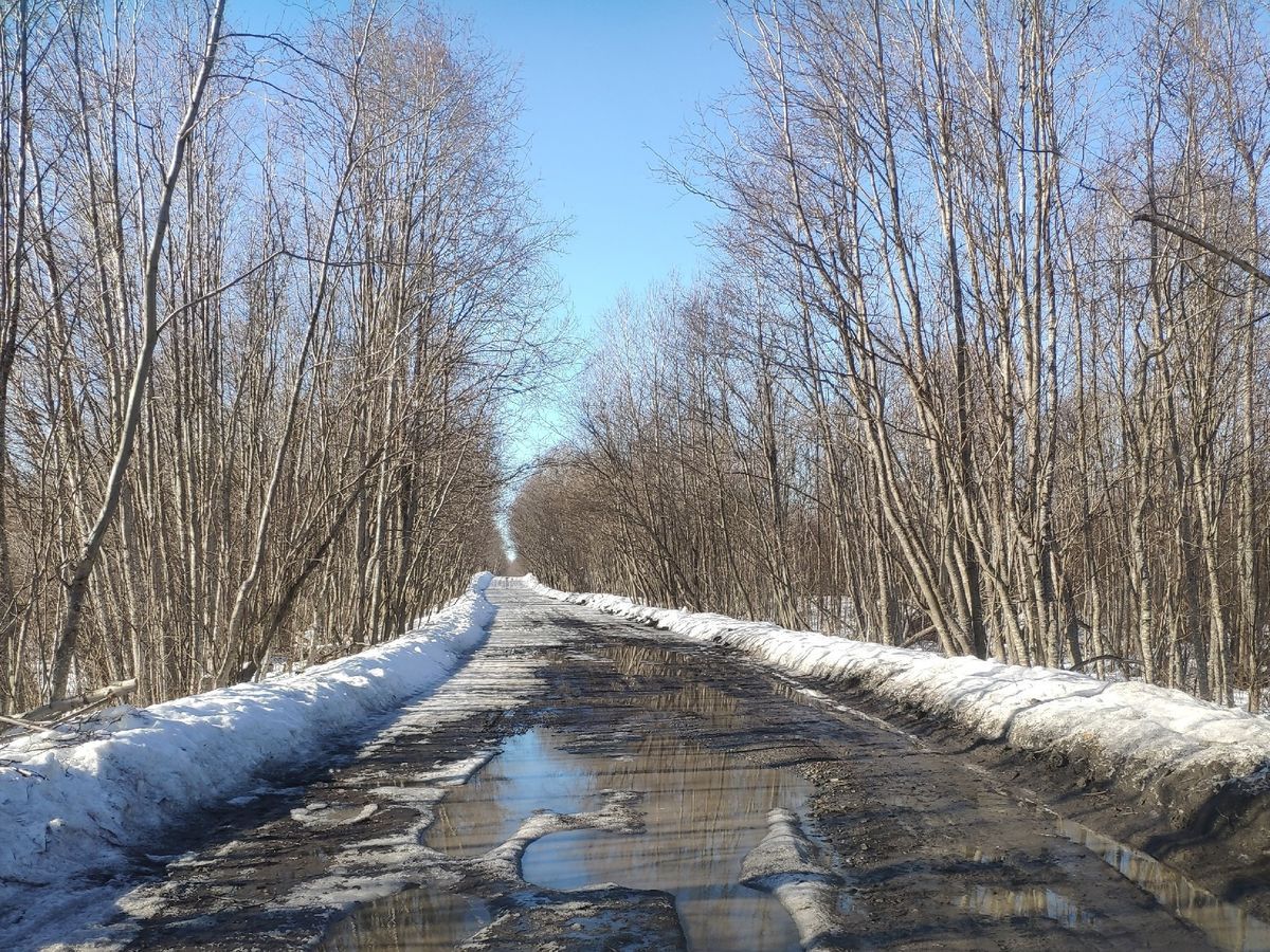 До +8°С и без существенных осадков. Прогноз погоды на 24 апреля