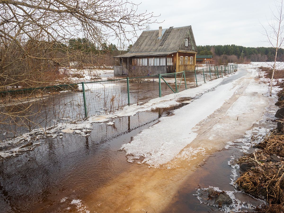 Затопит ли Шуя Виданы? Что на самом деле происходит в деревне, сколько еще населенных пунктов Карелии под угрозой