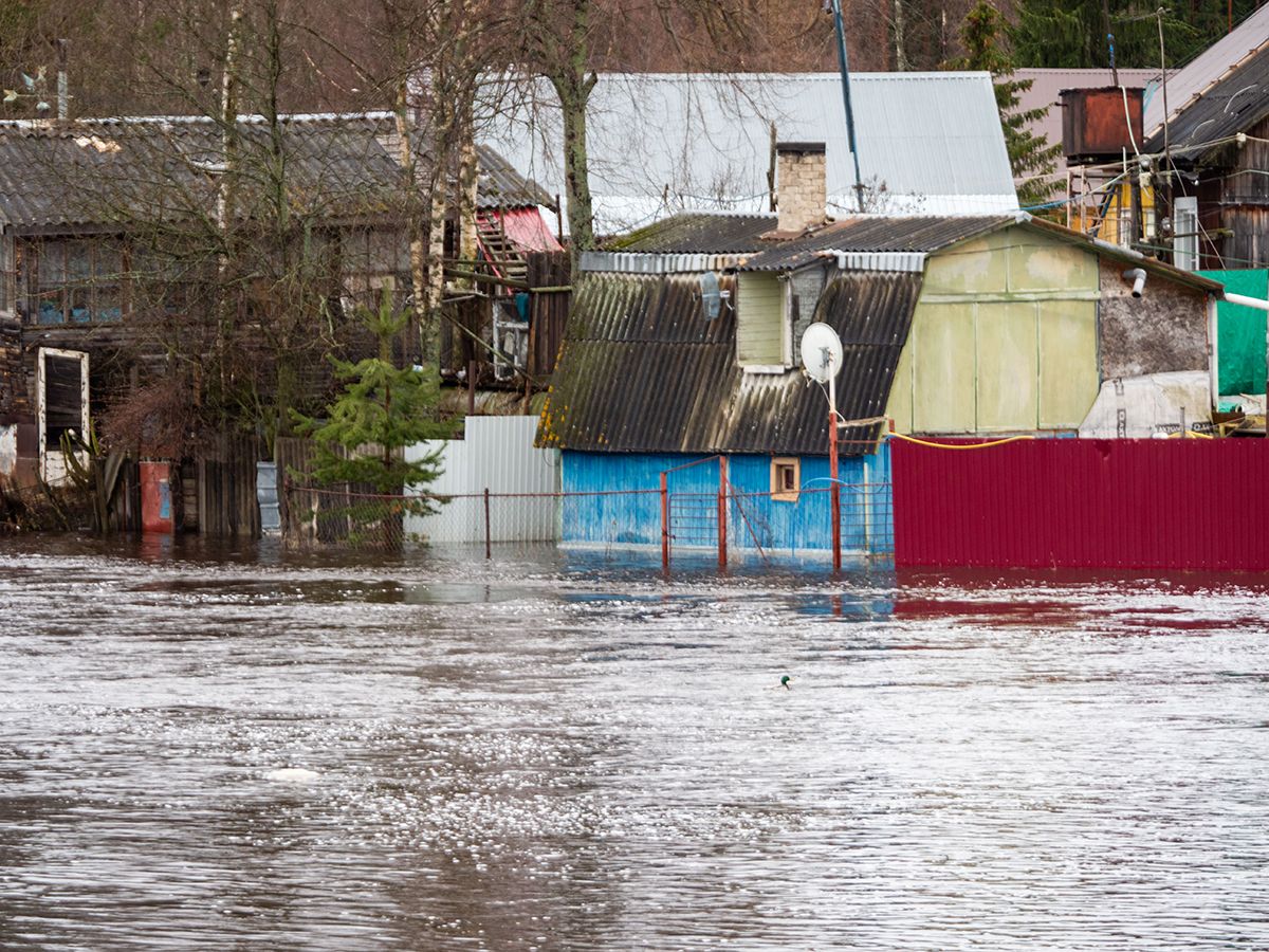 В деревне Вилга в Карелии вода вышла на участки с домами
