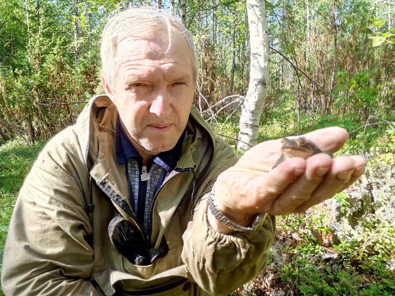 Олени в Оленьем и сокол против синиц. Житель карельского поселка подкармливает птиц и животных и ловит огромных щук