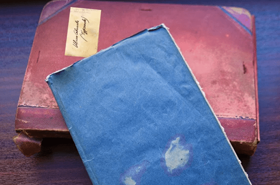 Громкое открытие в Петрозаводске: обнаружено никому неизвестное произведение русского классика