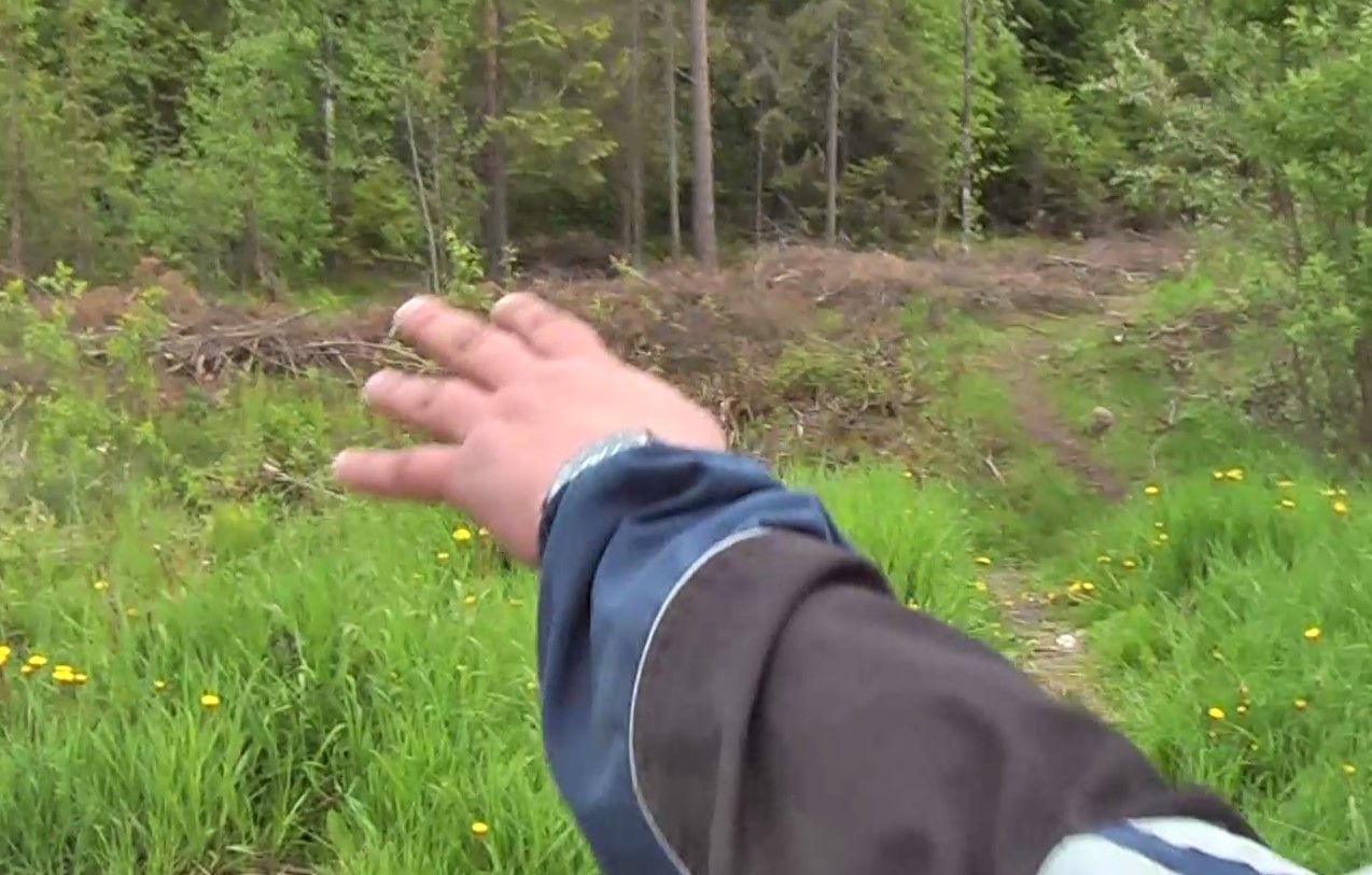 Житель Петрозаводска задушил и закопал девушку, а потом случайно подорвался на гранате