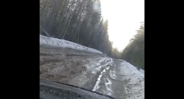 «Научим родину любить!»: жители поселка в Карелии пожаловались в Следком на непроезжую дорогу