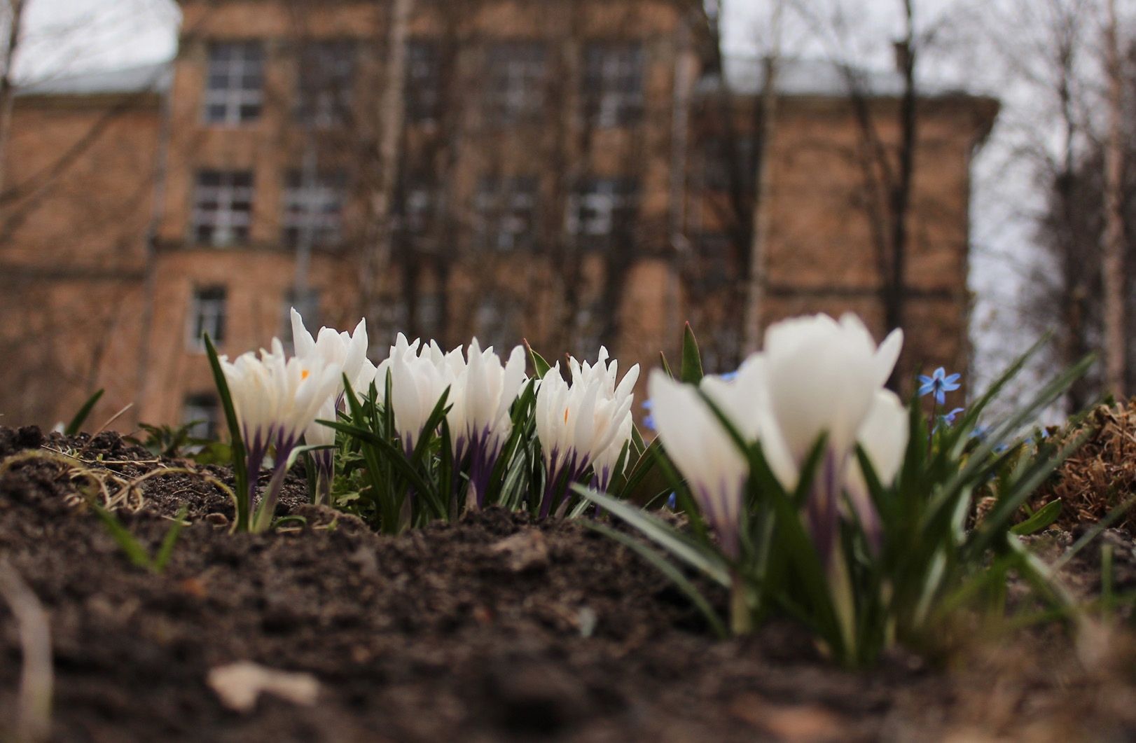 Днем до +15°С: прогноз погоды на 30 апреля