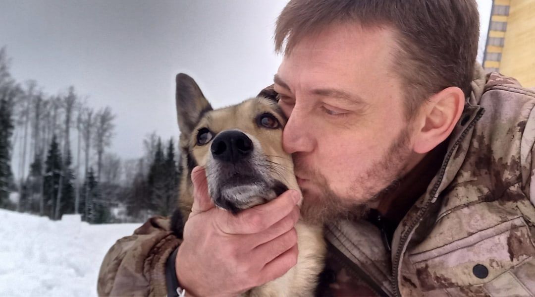 Депутат Петросовета предложил не наказывать владельцев собак, а создать им условия для выгула питомцев