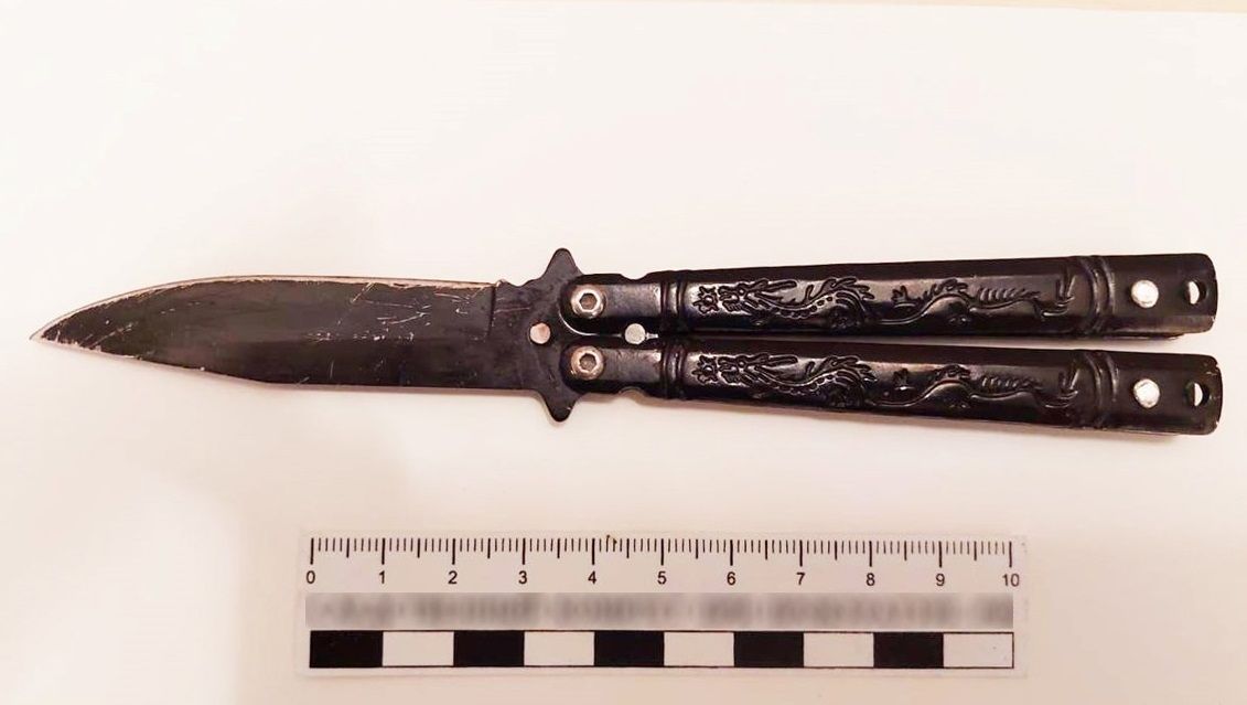 В полиции прокомментировали нападение с ножом на девушек-подростков в Петрозаводске В полиции прокомментировали нападение с ножом на девушек-подростков в Петрозаводске