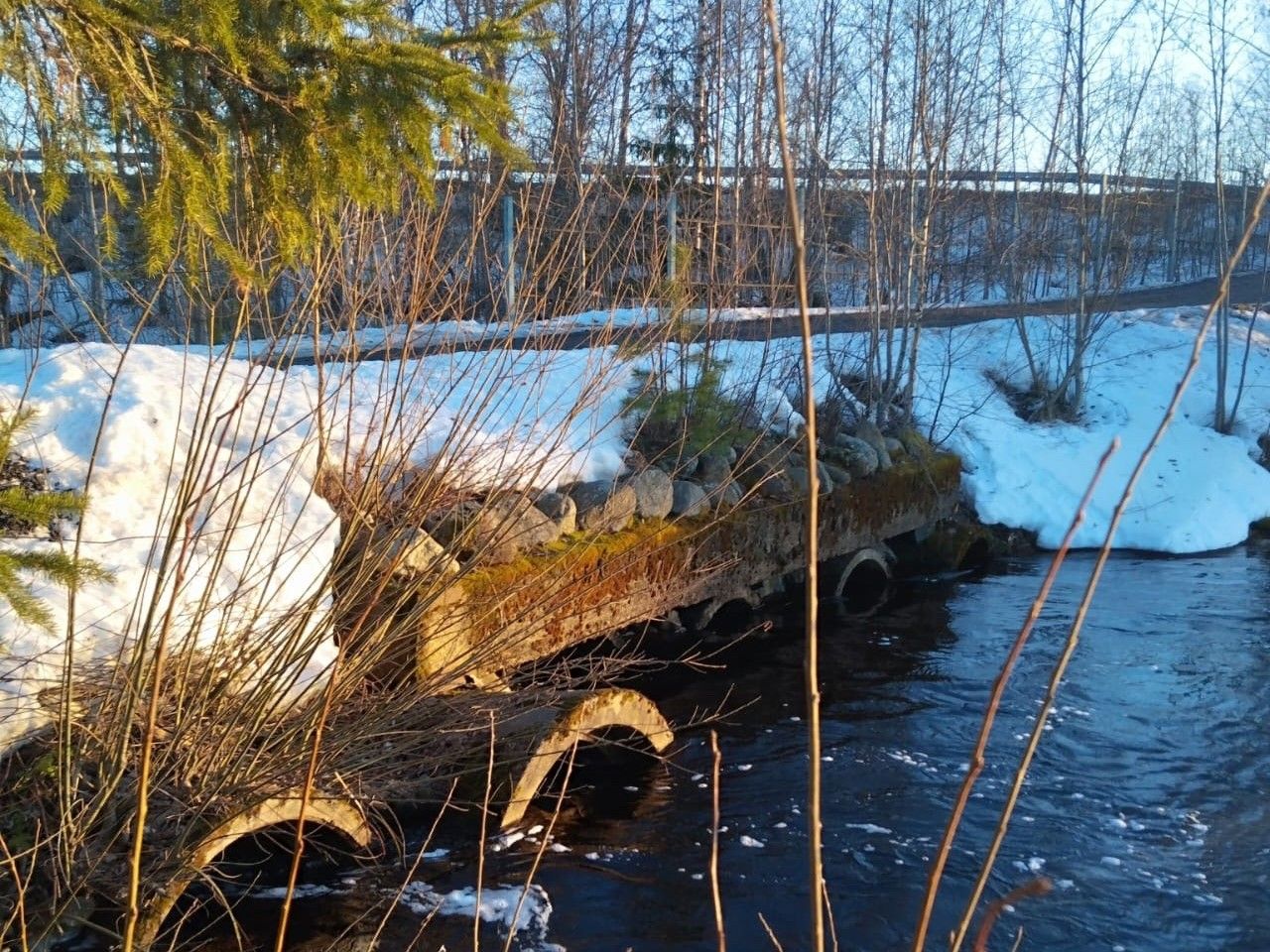 Карельский гидрометцентр: «Все действия по открытию затвора на плотине Лососинская были правильными»