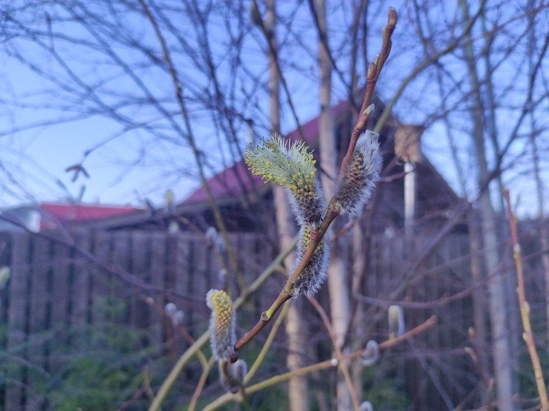 Карельские синоптики рассказали, ждать ли тепла на майских праздниках