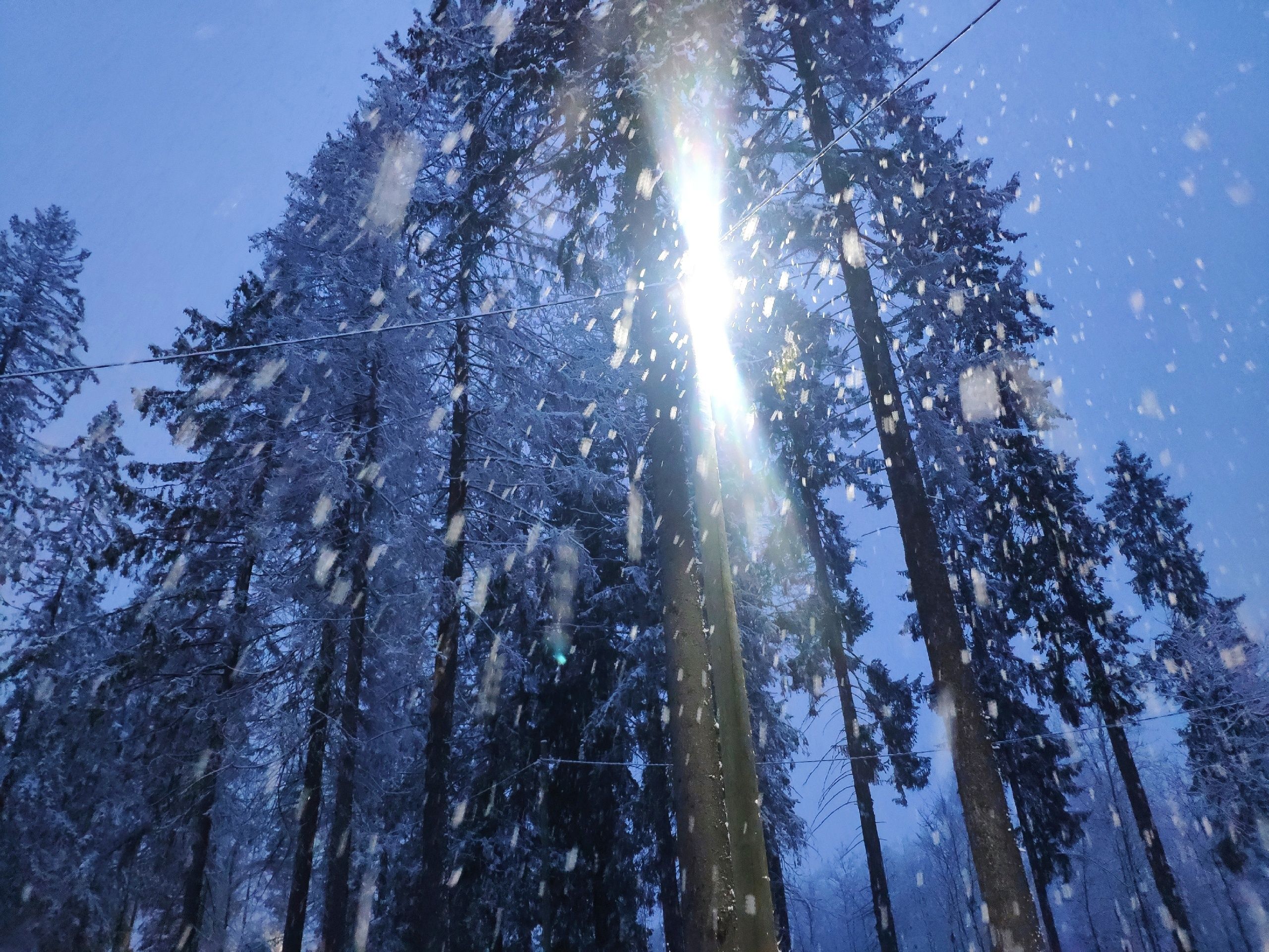 Мокрый снег. Прогноз погоды на 7 апреля